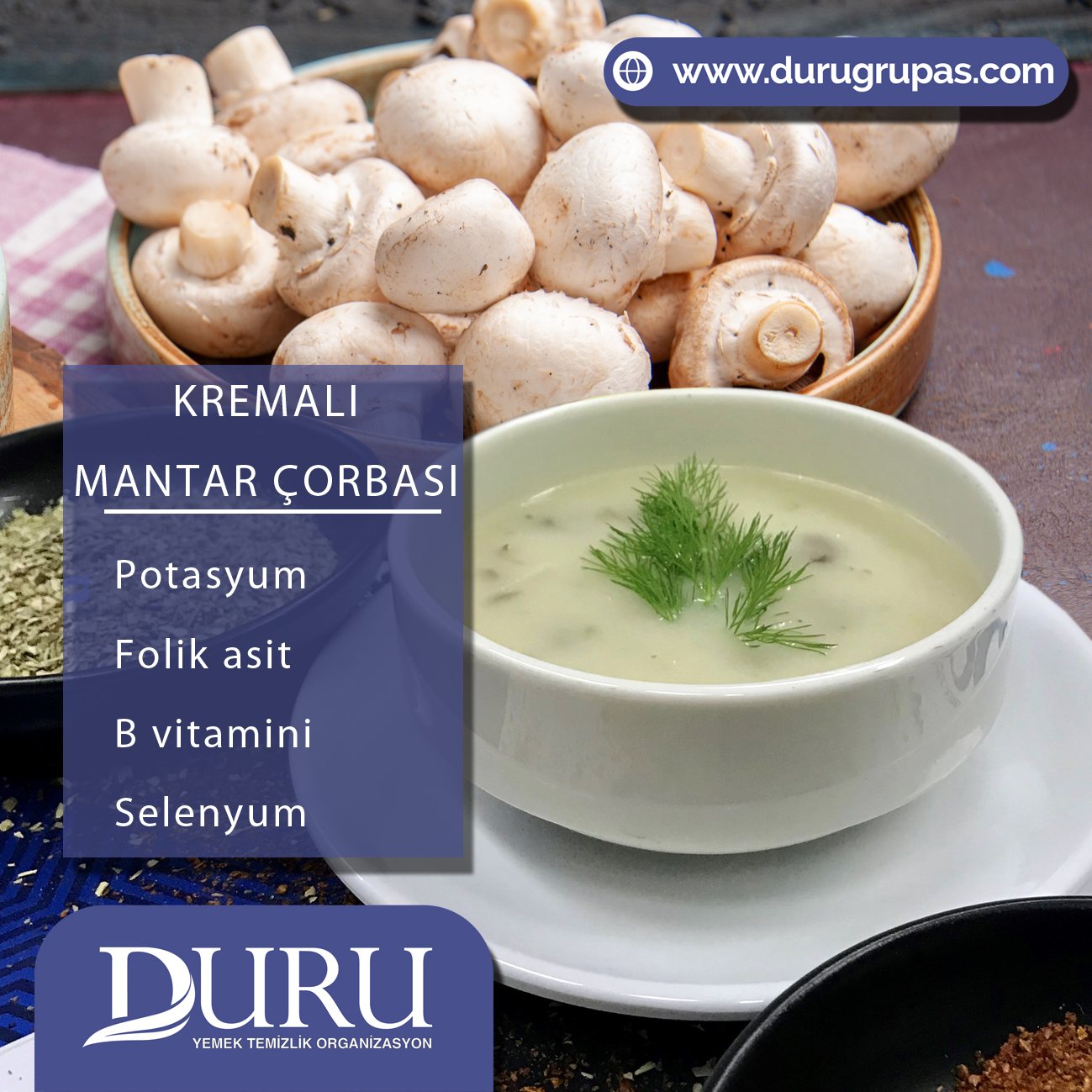 kremalı mantar çorbası