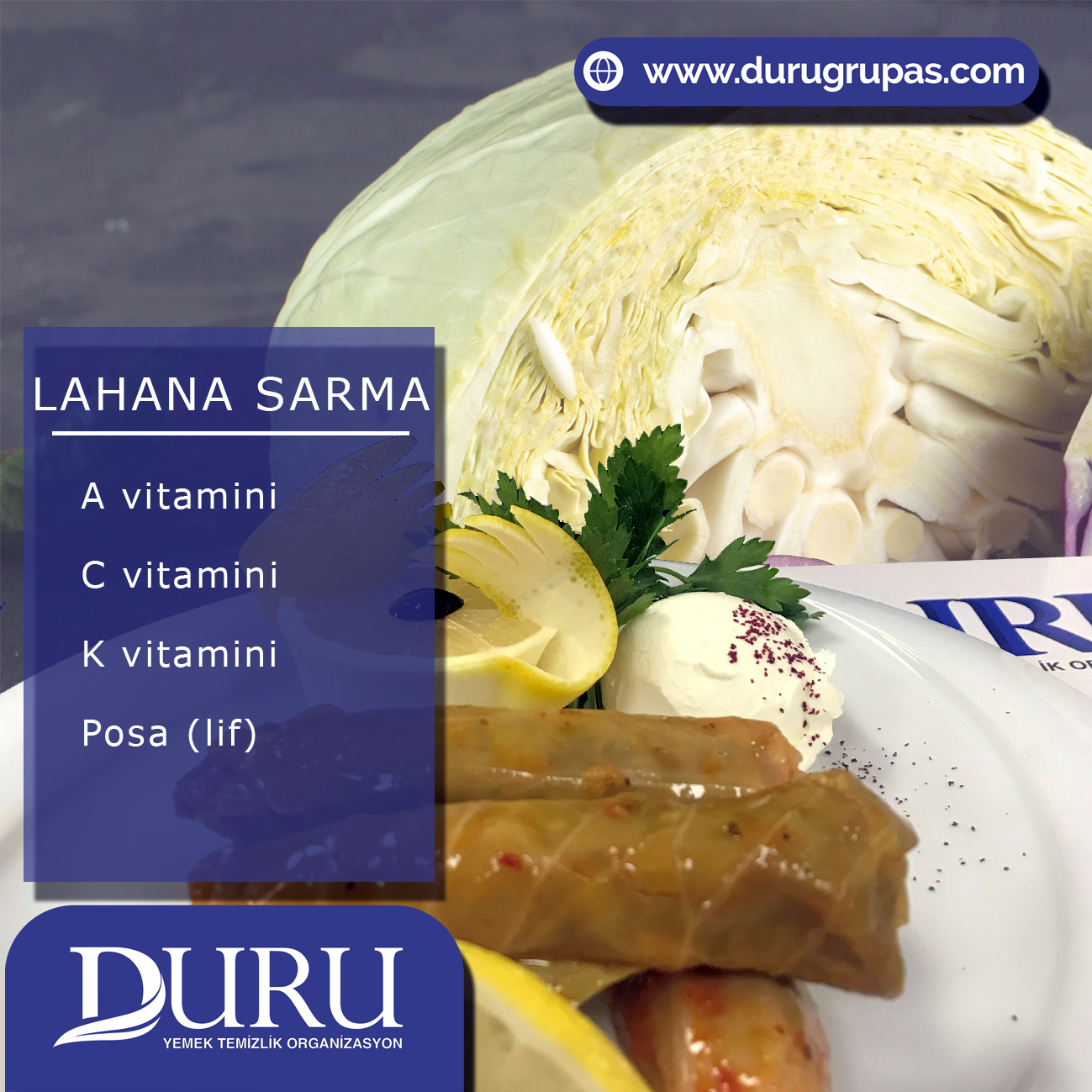 lahana sarma