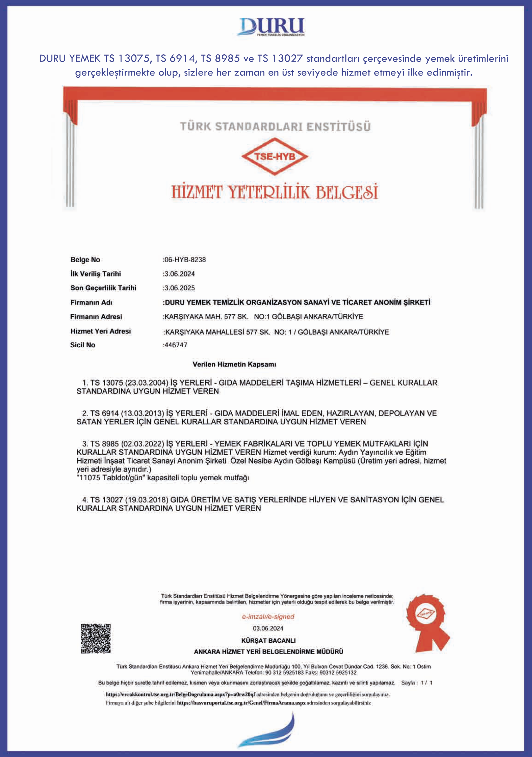 Ekran Resmi 2024-06-10 09.10.30